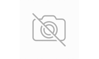 الاستقصاء لأخبار دول المغرب الأقصى